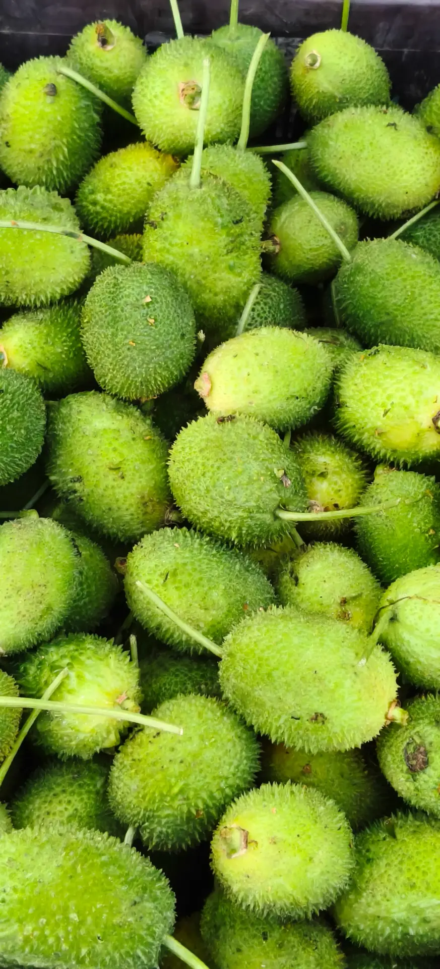 করলা