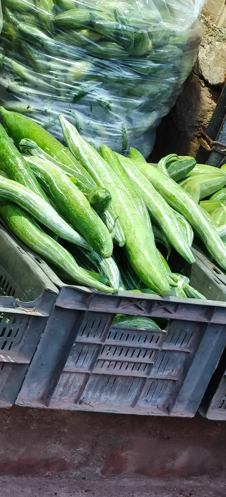 ঢেরস
