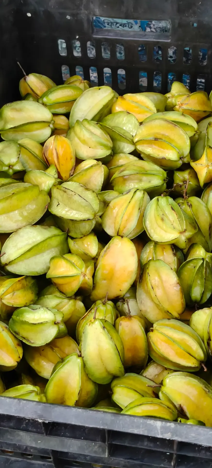 কামরাঙ্গা